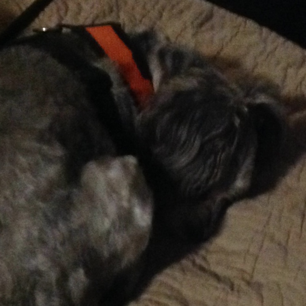 Meet your Posher, Meg